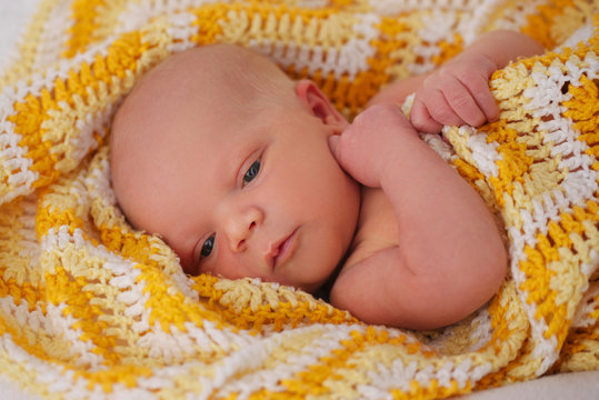 cute newborn baby in the blanket