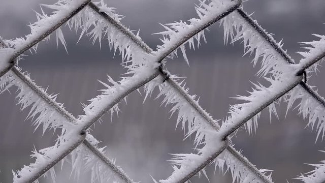 Raureif an Zaun, Raureifkristalle, Eiskristalle