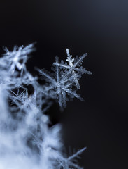 photo real snowflakes during a snowfall, under natural conditions at low temperature