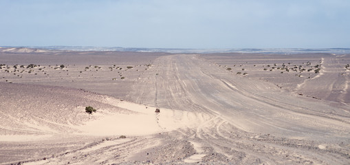 desert landscape