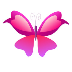 beautiful butterflies, isolated on a white