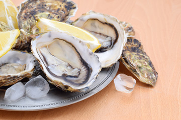 Fresh oyster