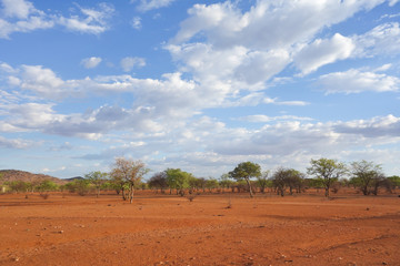 Fototapeta na wymiar Kalahari