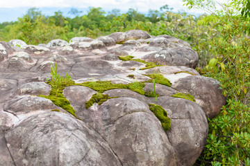 Lan Hin Pum (natural phenomenon) at Phu Hin Rong Kla national pa
