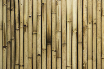Bamboo wall
