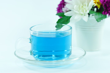 Obraz na płótnie Canvas blue tea from Butterfly pea flower