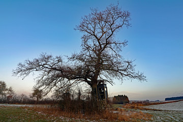 Offene Jagdkanzel unter einem Baum