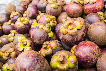 Mangosteen Fruit