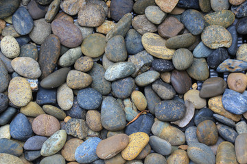 These nice little round colored pebbles were found alongside the beach where a river empties. This lovely natural pattern of pebbles and stones are a treasure of nature.