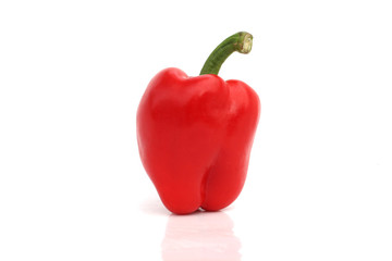 red paprika on isolated white background