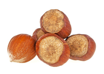 Hazelnuts on a white background