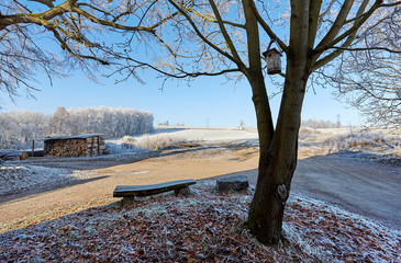 County winter landscape with seat fields leafs and birdhouse