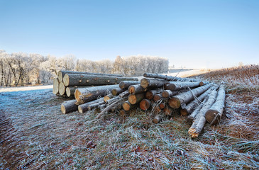 Winter countryside with frozen logs and view with frozen field trees and grass