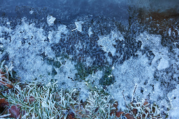 Frozen winter brook with ice grass water and leafs