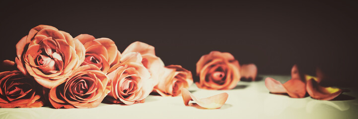 rosen mit vintage filter