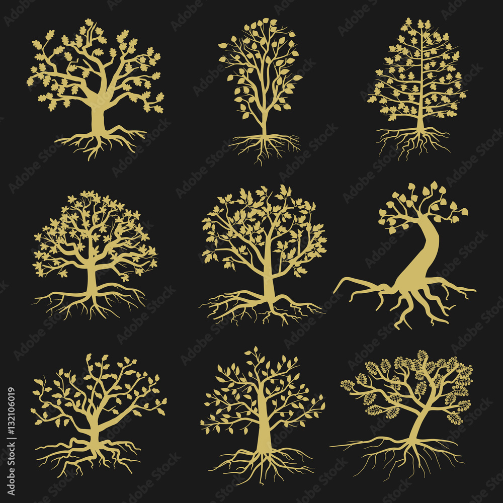 Wall mural Black vector tree silhouettes with leaves and roots