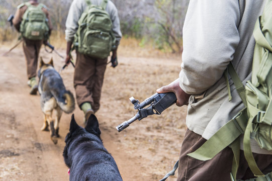 Anti-poaching dog patrols and training session