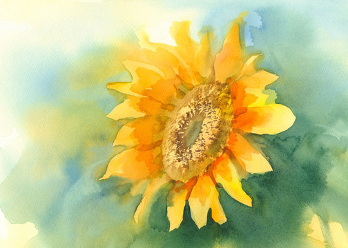 Sunflower On Green Background Watercolor