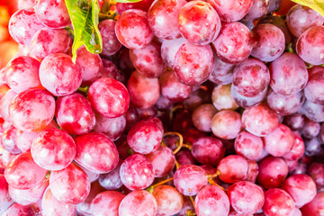 Fresh Red Grape Fruit
