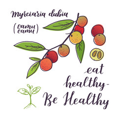 Camu camu with leaves and half berries. Myrciaria Dubia. Super food isolated objects on white background. Vector illustration with healthy eating quote.