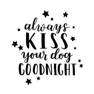 Dog adoption hand written lettering. Brush lettering quote about the dog Always kiss your dog goodnight . Vector motivational saying with black ink and stars on white isolated background.