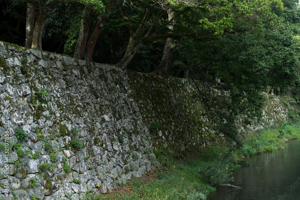 Canvas Prints stone wall and river