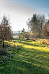 Countryside Landscape View in United Kingdom