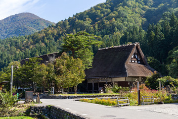 Fototapeta na wymiar Historical Japanese village Ogimachi