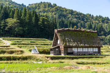 Japanese old Village