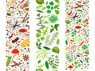 Culinary herbs and spices organised in three ribbons