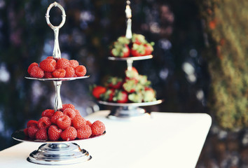 Cookies - summer atmosphere