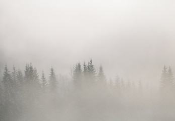 Obraz na płótnie Canvas Winter mountains in Europe