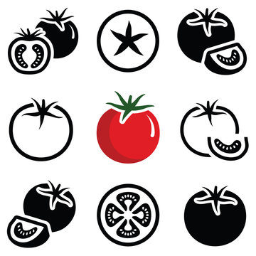 Tomato vegetable icon collection - outline and silhouette illustration