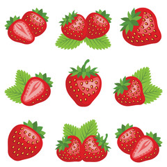 Strawberry collection - color illustration