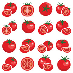 Tomato collection - color illustration