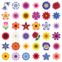 Flower icon collection - color illustration