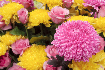 beautiful pink and yellow chrysanthemum bouquet colorful flower