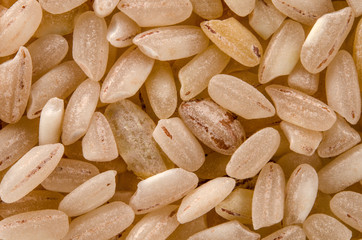 Uncooked raw rose rice. Food background. Healthy lifestyle concept. Closeup macro shot.