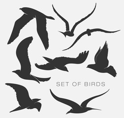 set of silhouettes of birds