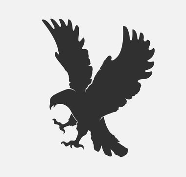 silhouette flying eagle on a white background