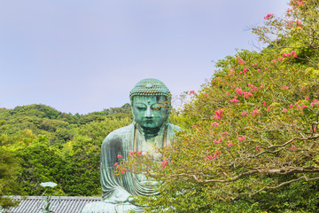 The Great Buddha in Kamakura, which is surrounded by green leaves.Located in Kamakura, Kanagawa Prefecture Japan.