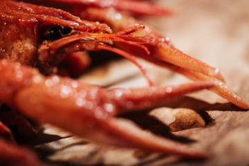 Close up of a crayfish lying on wooden tray