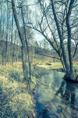 Natural landscape of river in the forest in spring