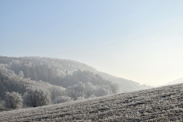 Frostbitten landscape, blue sky.