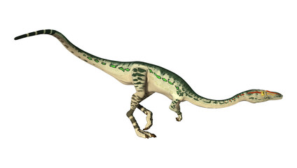 3D Rendering Dinosaur Coelophysis on White