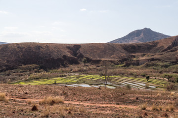 View from Rise fields in the highlands of Madagascar. Betafo area, Antananarivo Province,...