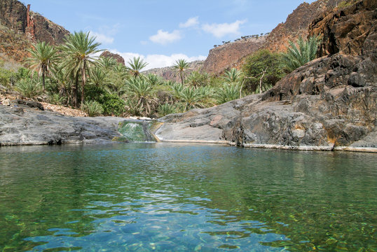 The oasis Wadi Daerhu on the island of Socotra