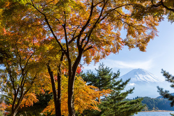 Mt Fuji in autumn view