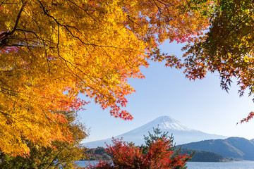 Mt. Fuji in autumn season