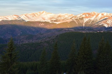 Obraz premium Mountaines and pine trees